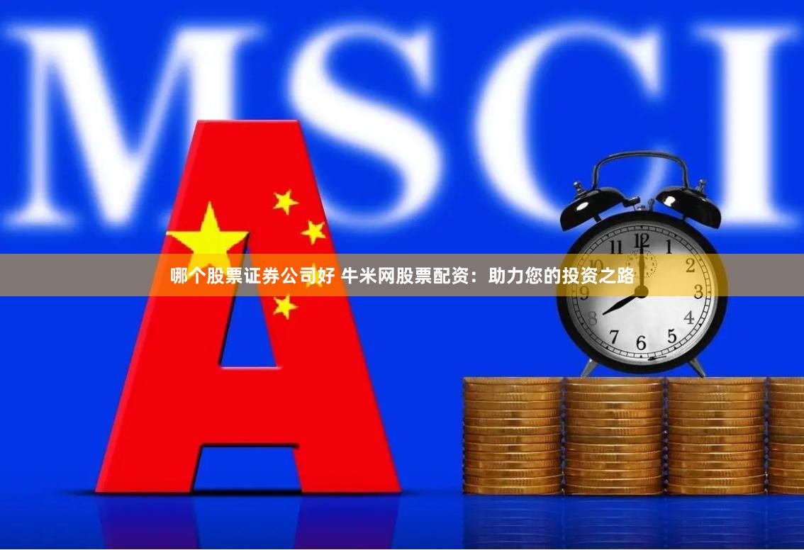 哪个股票证券公司好 牛米网股票配资：助力您的投资之路