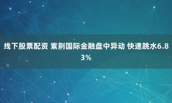 线下股票配资 紫荆国际金融盘中异动 快速跳水6.83%