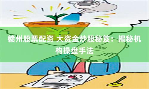 赣州股票配资 大资金炒股秘笈：揭秘机构操盘手法