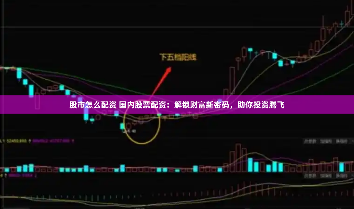 股市怎么配资 国内股票配资:解锁财富新密码,助你投资腾飞