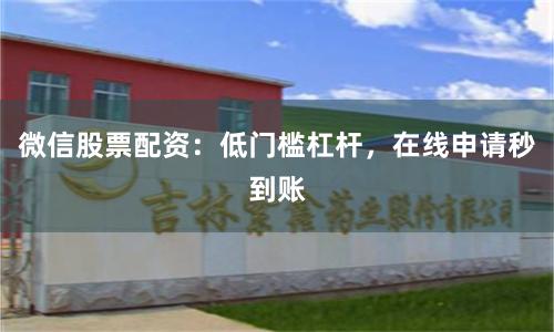 微信股票配资：低门槛杠杆，在线申请秒到账